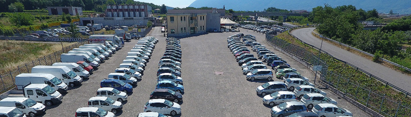 TELESINA CAR