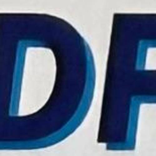 Logo di DF AUTO SRLS