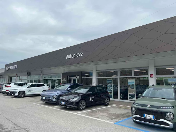 Autopiave Srl