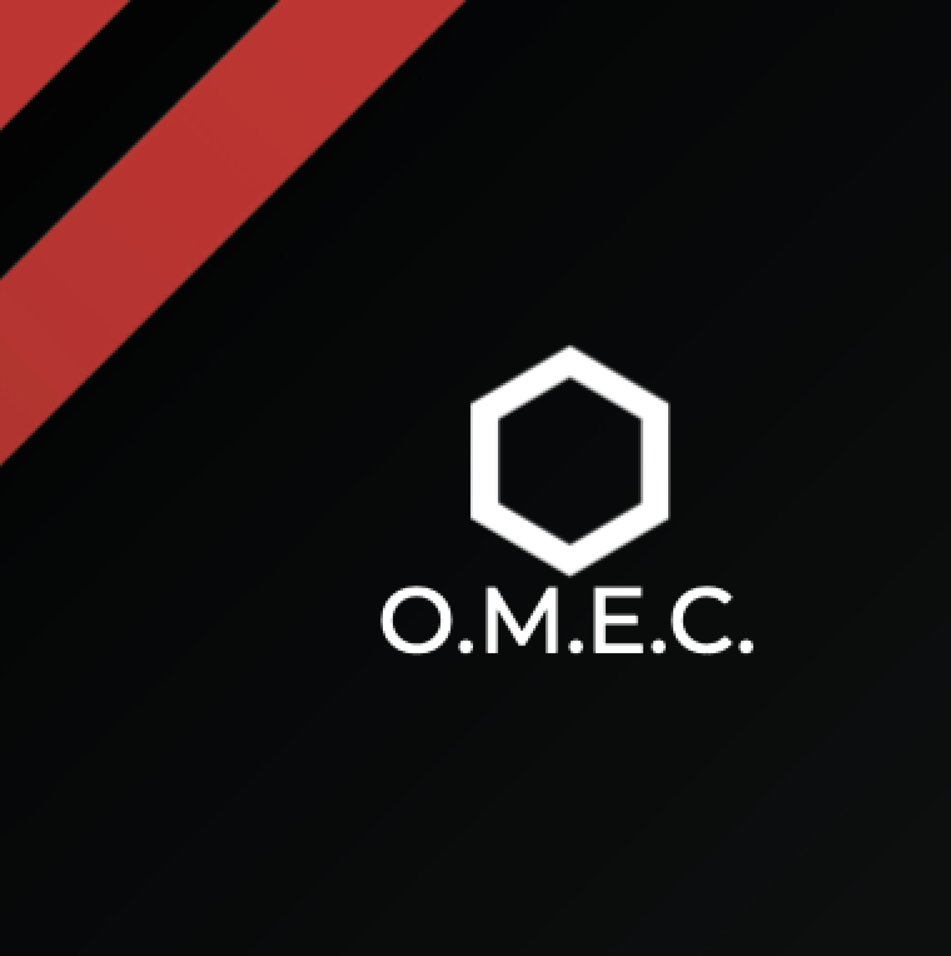 Logo di OMEC SRL