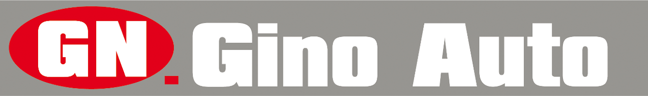 GN. GINO AUTO DI NIKOLIC GRUJICA