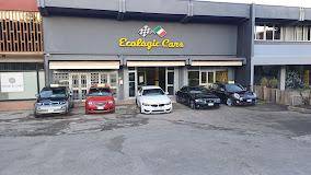 ECOLOGIC CARS