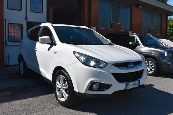 GAMMIAUTO DI CIPOLLA MICHAEL