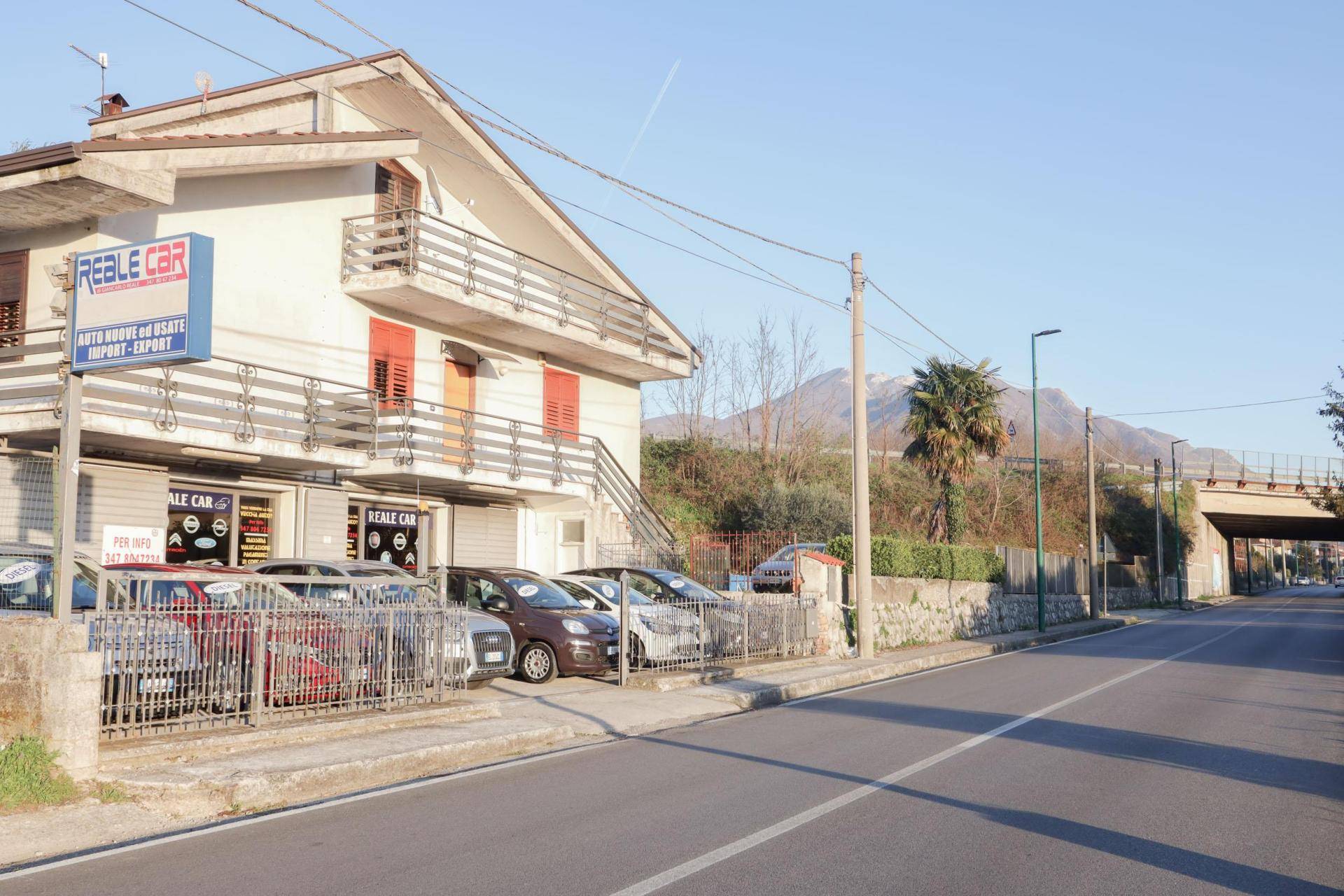 REALECAR DI GIANCARLO REALE