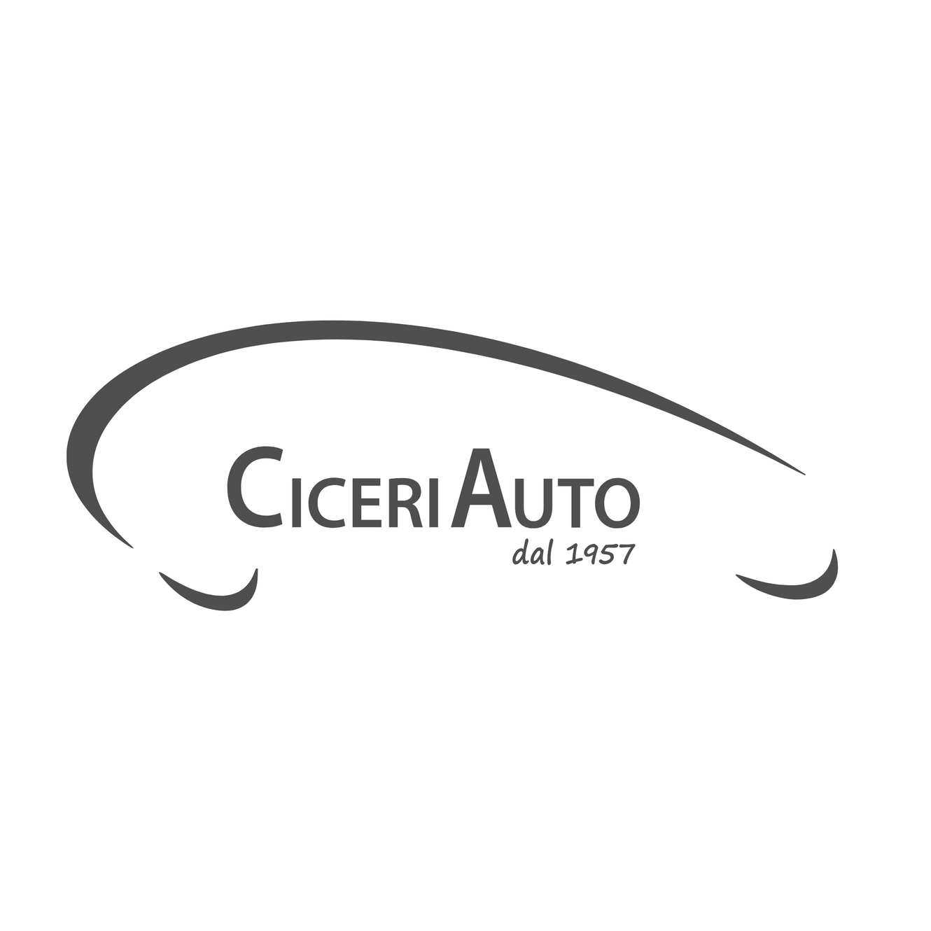 Ciceri Auto Srl