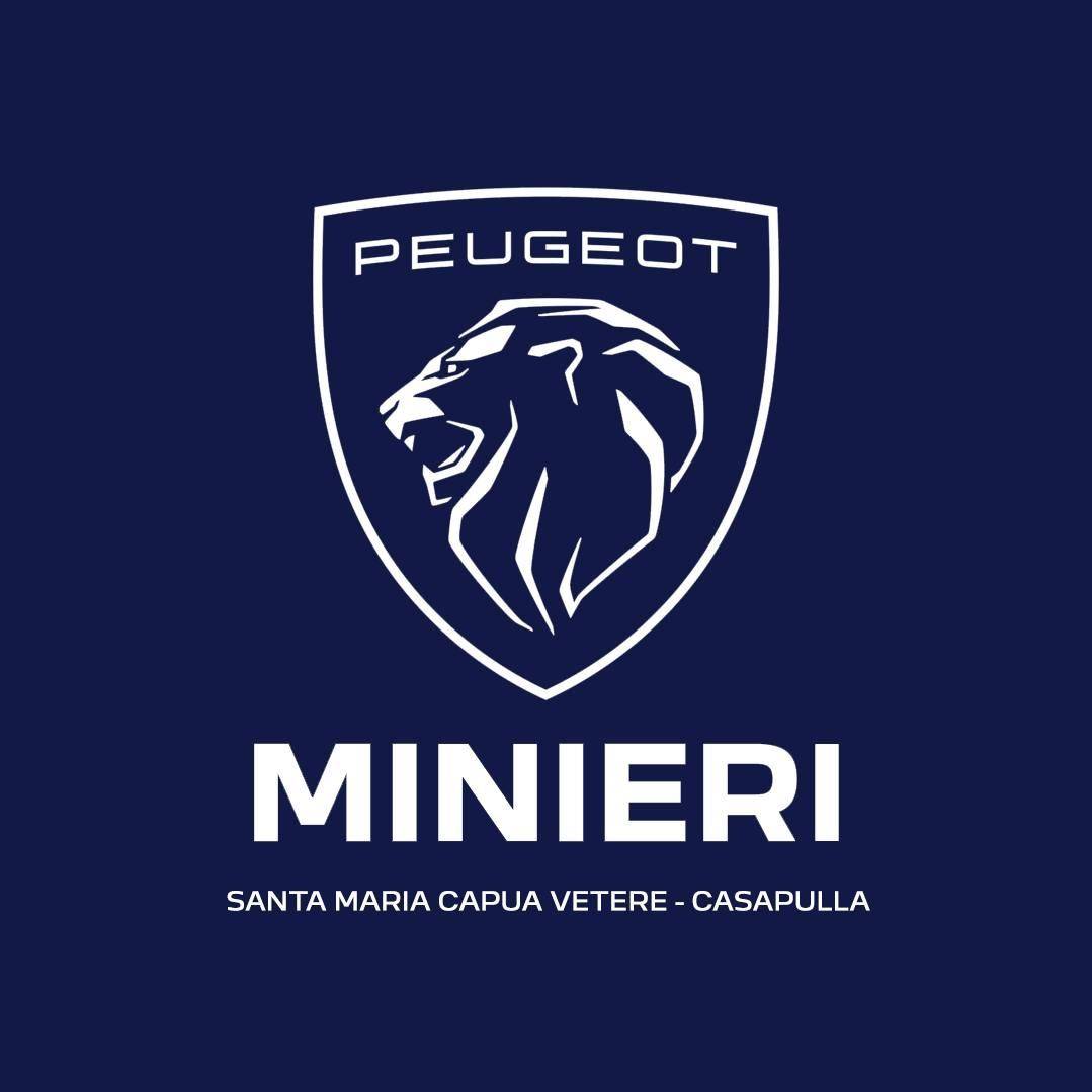 MINIERI S.R.L.