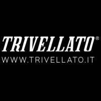 Logo di Trivellato Spa