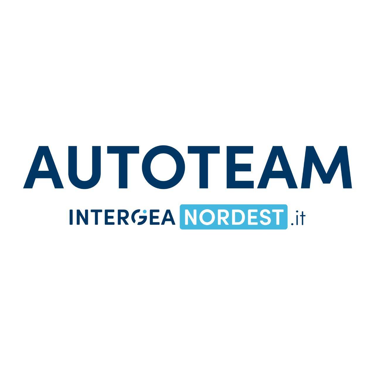 Logo di Autoteam | Intergea Nord Est