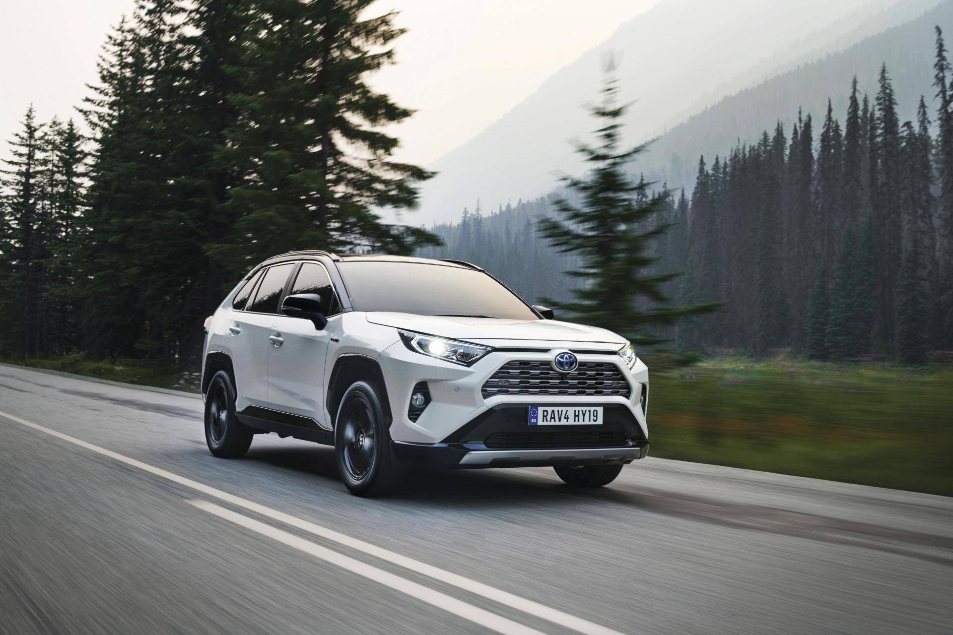 toyota rav4 bianca su strada