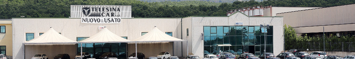 TELESINA CAR