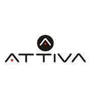 Attiva Automobili Srl