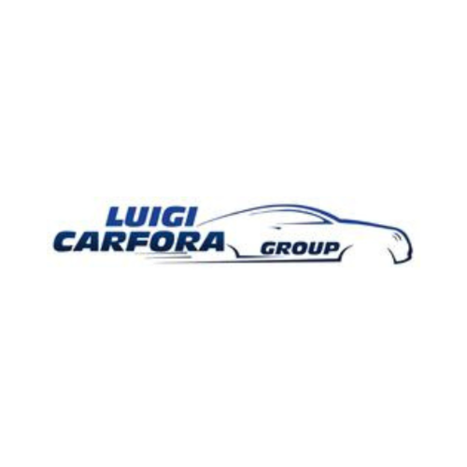 Logo di LUIGI CARFORA GROUP SRL