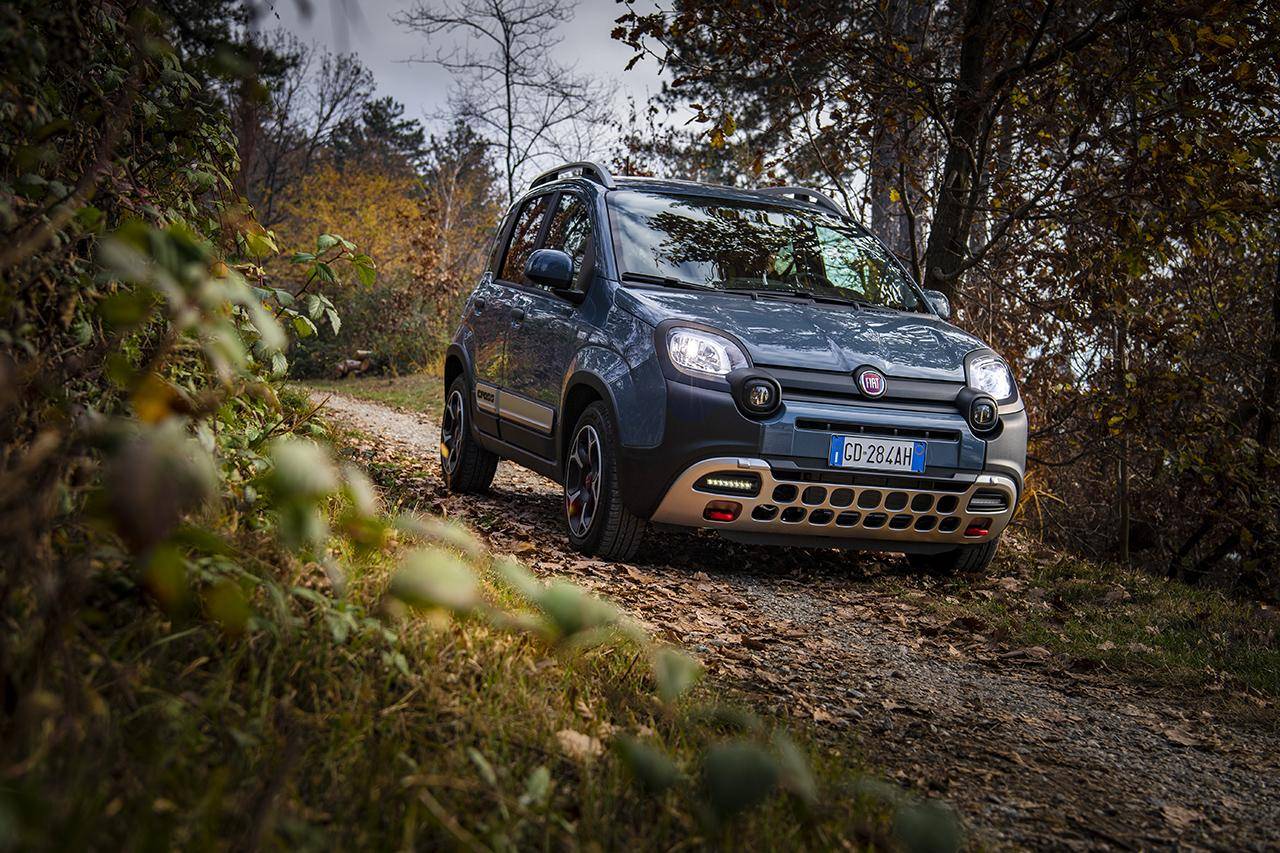 fiat panda blu in mezzo alla nautra city car economica