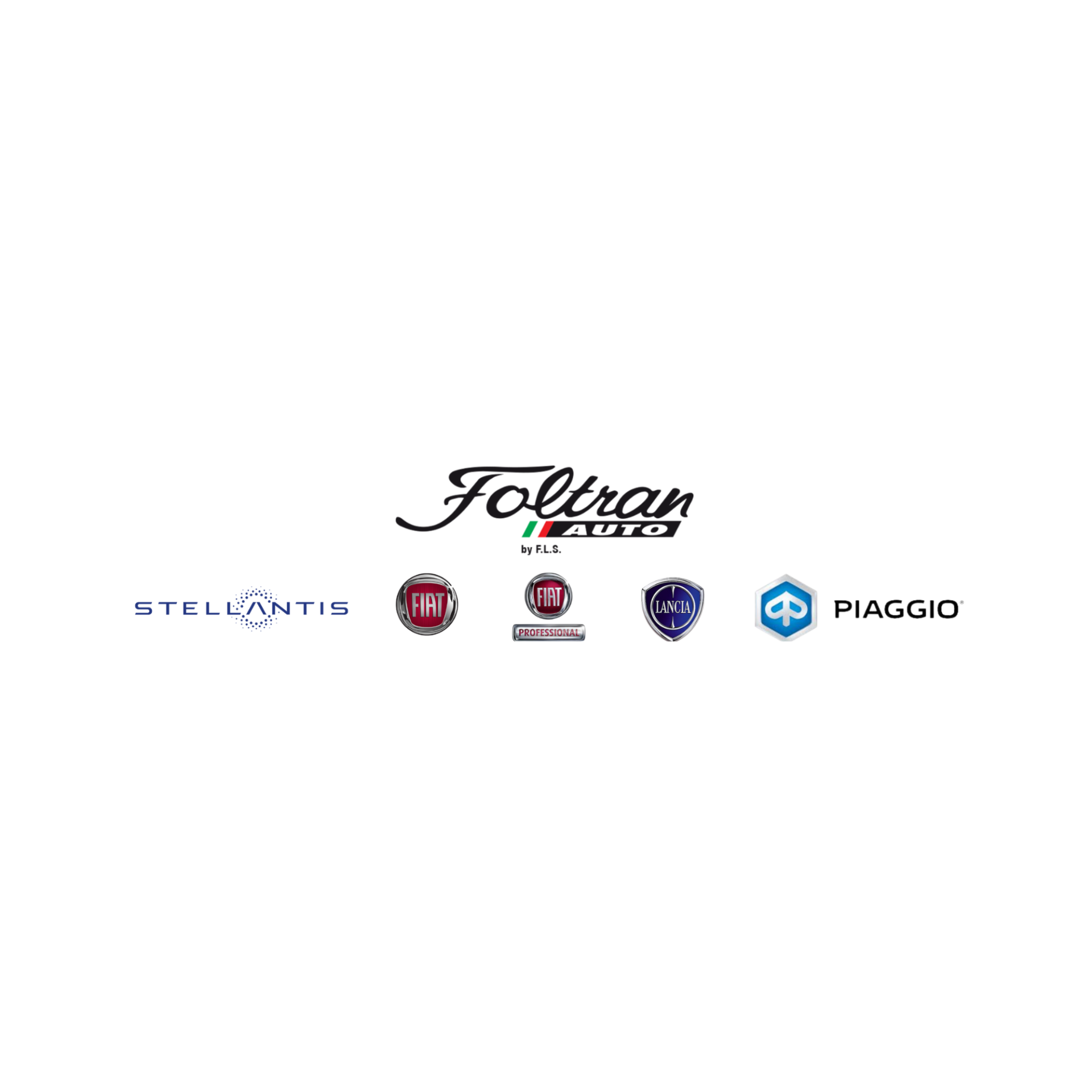 Logo di F.L.S. S.R.L.