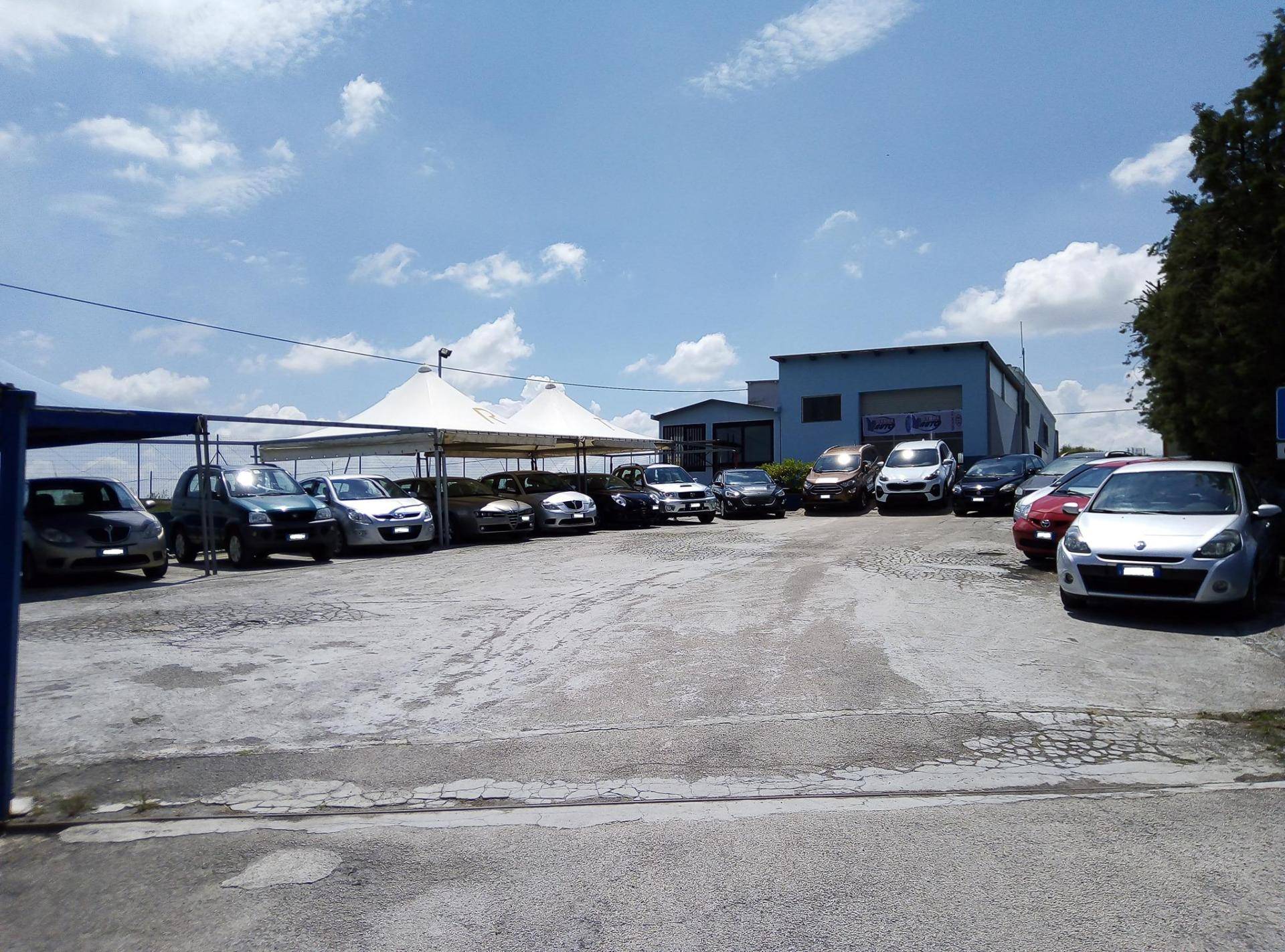VI. STORE SRLS