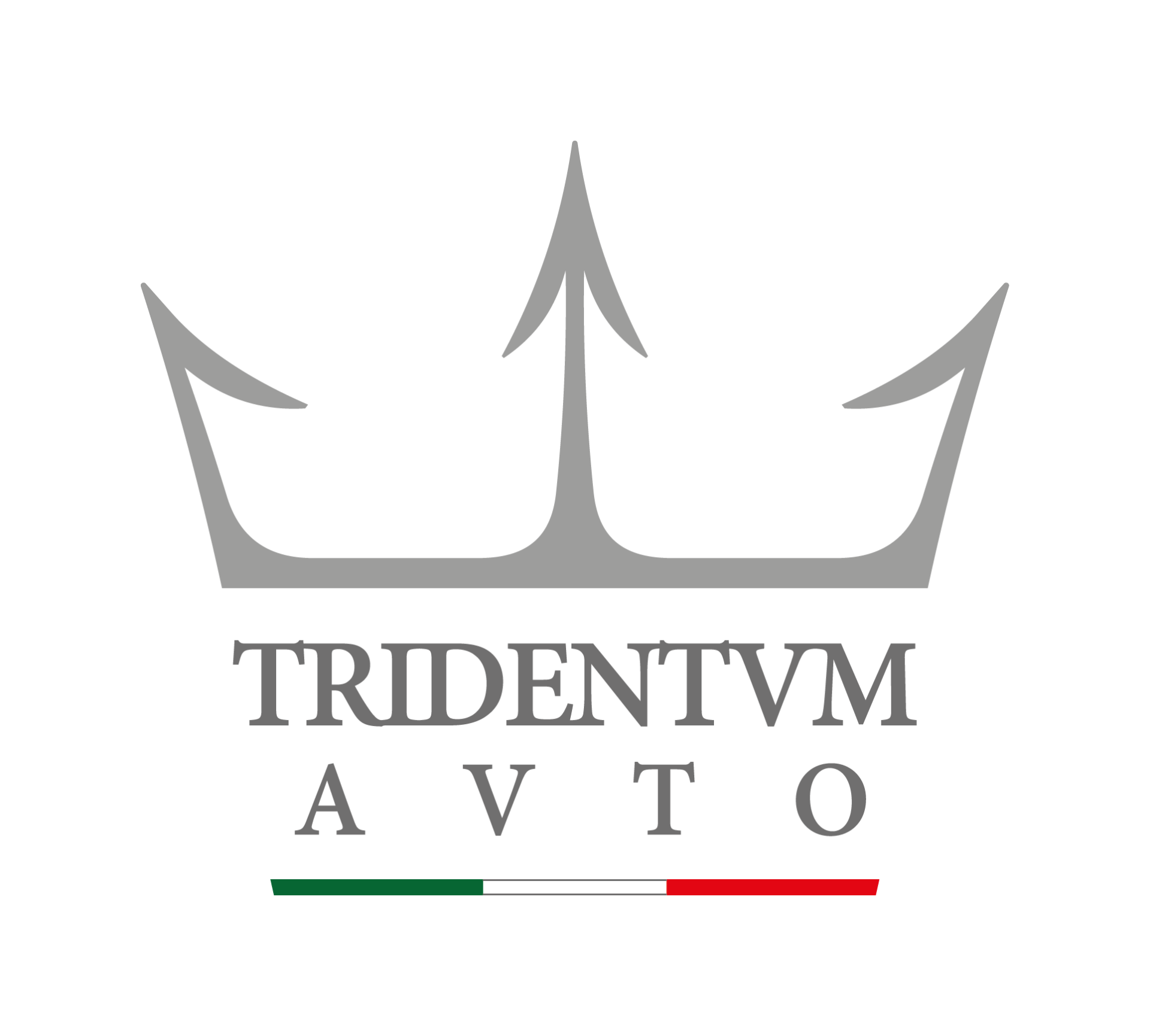 TRIDENTUM AUTO S.R.L.