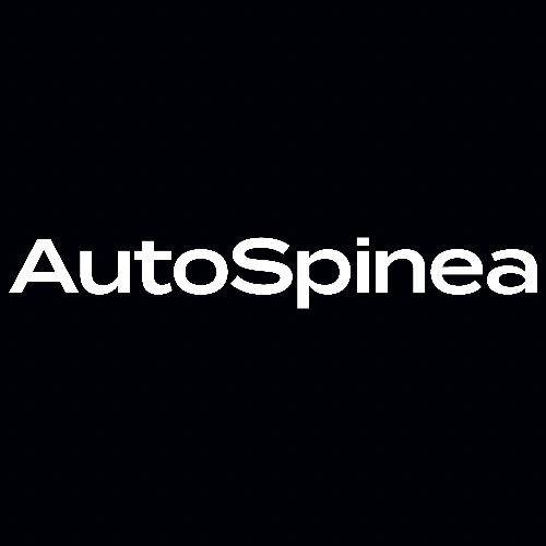 Logo di AUTO SPINEA SPA