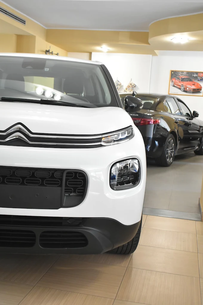 IMPRESA AUTO SRL