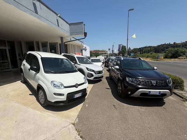PETRALLI AUTO SRL