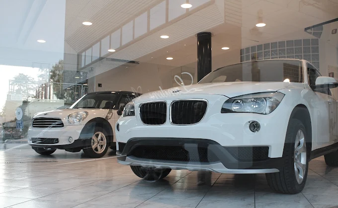 Landoni Auto Srl