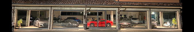 CANINI CARS