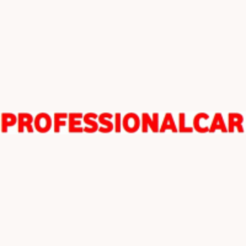 Logo di Professionalcar - Stefanelli s.p.a.