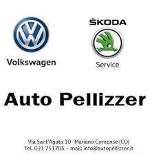 PELLIZZER AUTO S.A.S. DI PELLIZZER CLAUDIO & C.