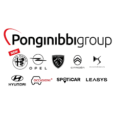 Logo di Automercato Multimarca Ponginibbi