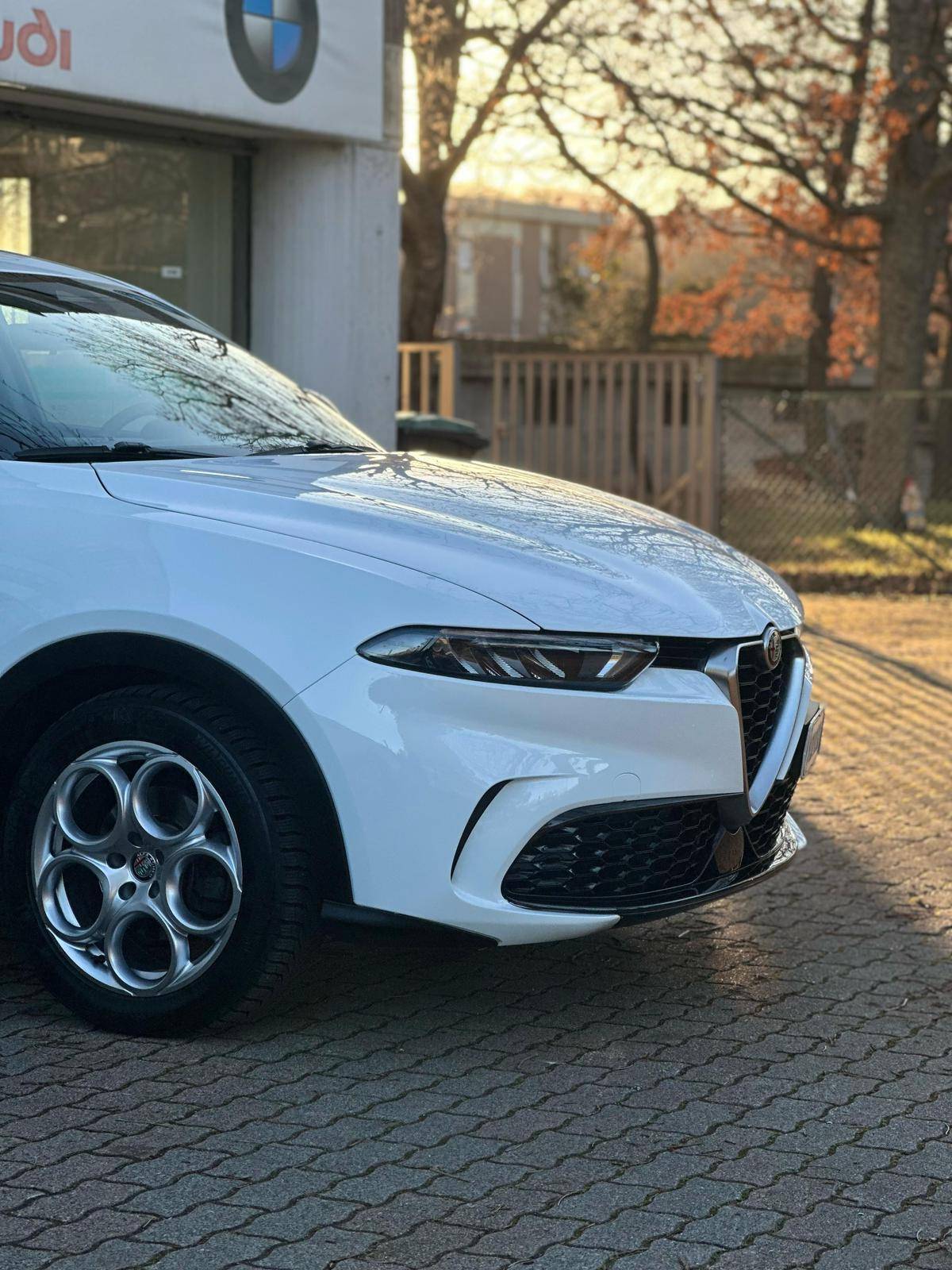 AUTO ITALIA S.R.L.