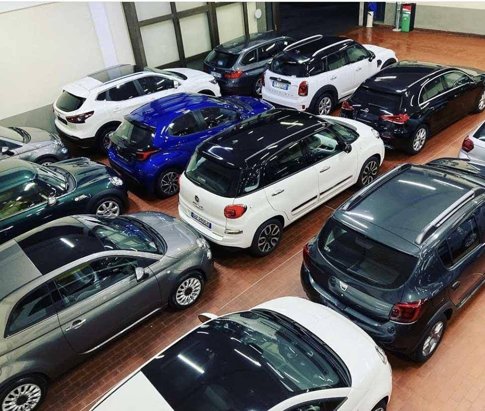 Auto Pippi Pescia Srl