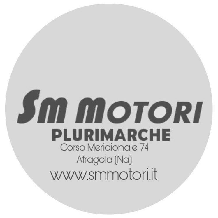 S.M. MOTORI DI SODANO FRANCESCO