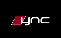 Logo di YOUR NEXT CAR S.R.L.