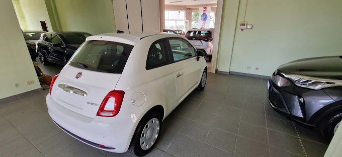 PICCININI MOTORS S.R.L.