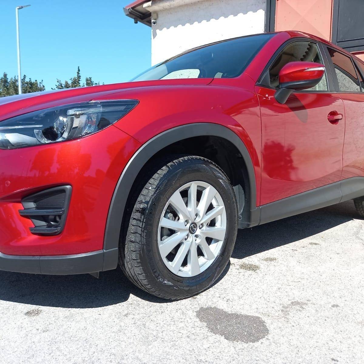 GLOBO CARS S.R.L.