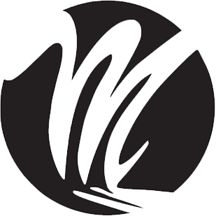 Logo di EMME AUTO SRL