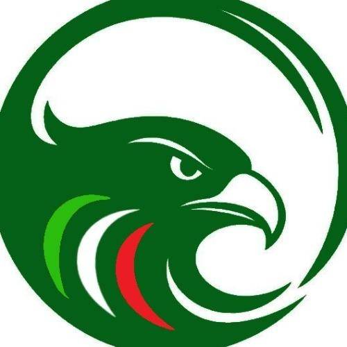 Logo di Falkomedia srl