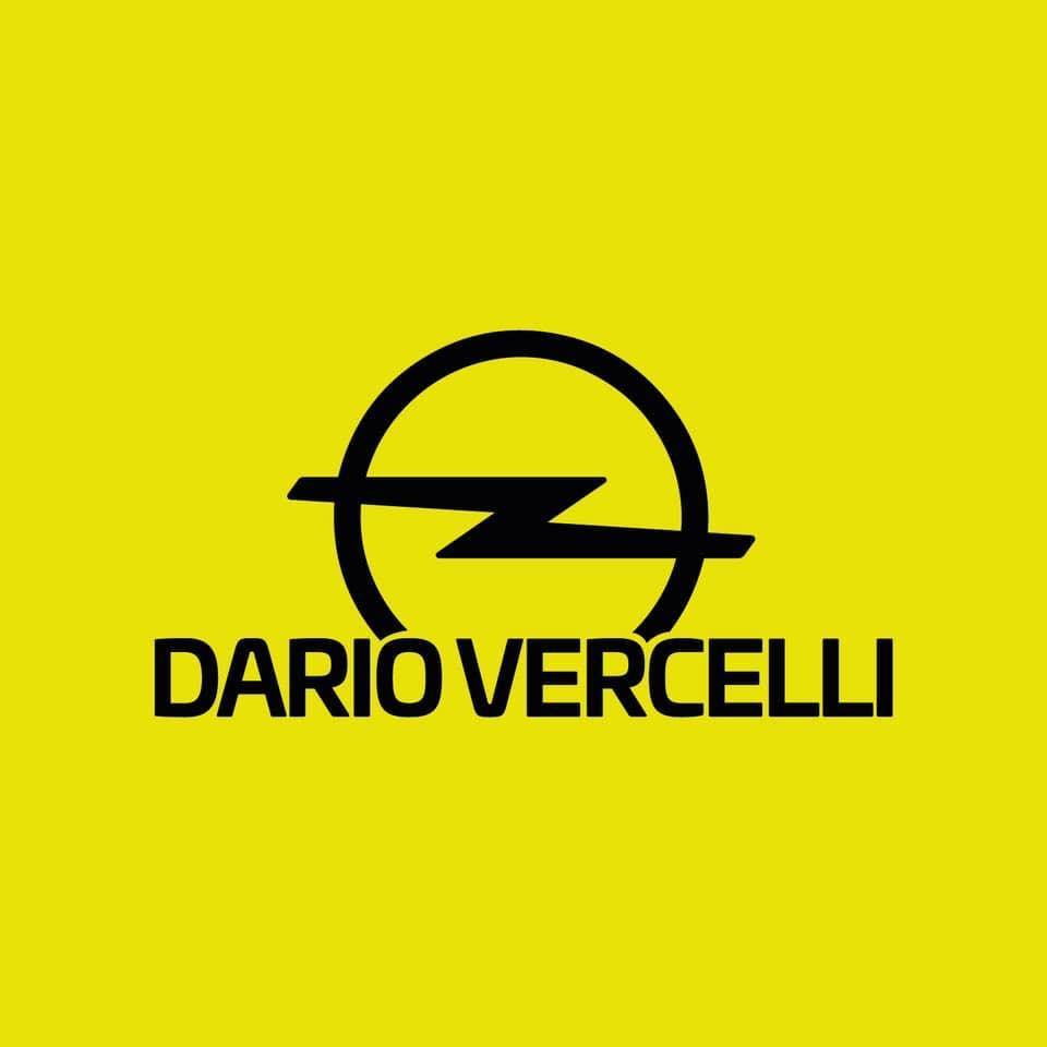 DARIO VERCELLI S.R.L.