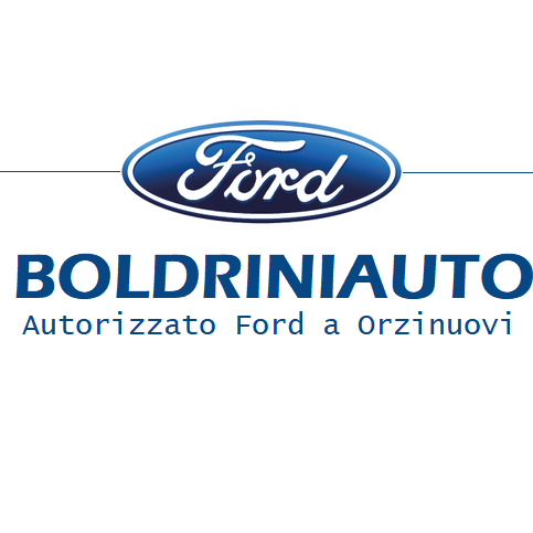 Logo di BOLDRINI AUTO SNC