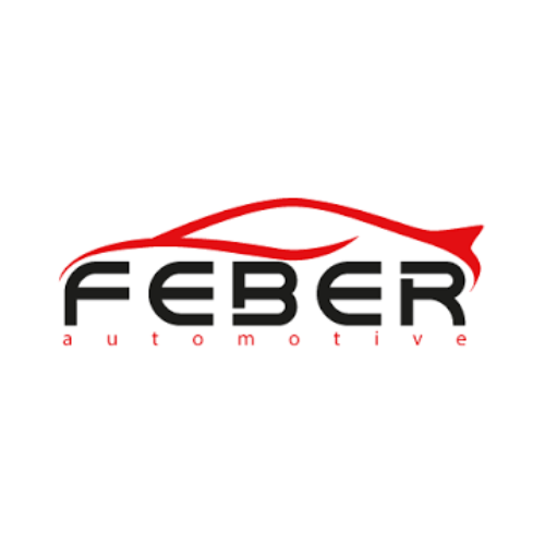 Logo di FEBER SRL