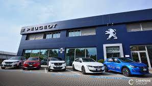 Campani Group Peugeot Citroen RE