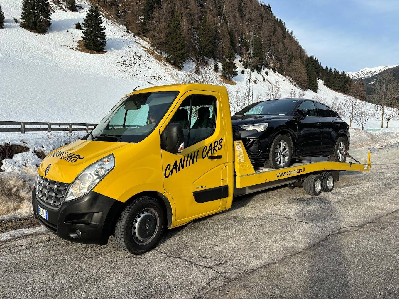 CANINI CARS