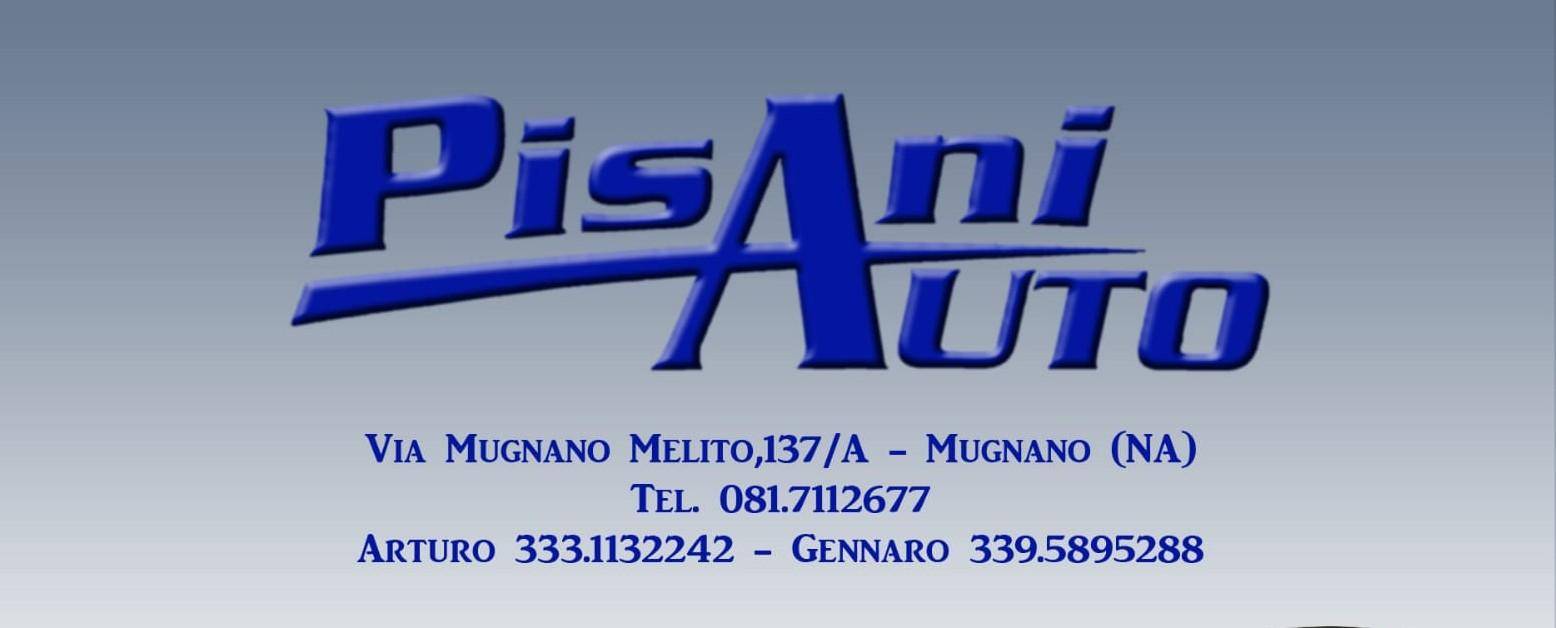 PISANI AUTO S.A.S. DI ARTURO PISANI & C.