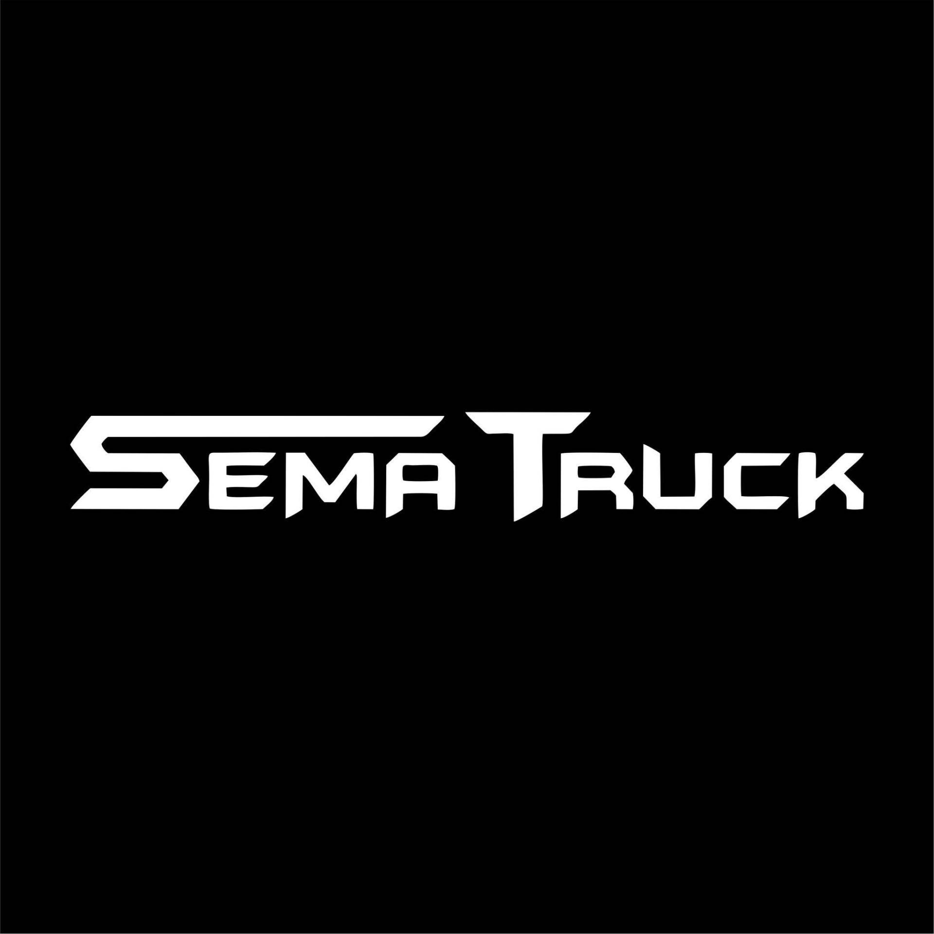 SEMA SOCIETA' A RESPONSABILITA' LIMITATA SEMPLIFICATA