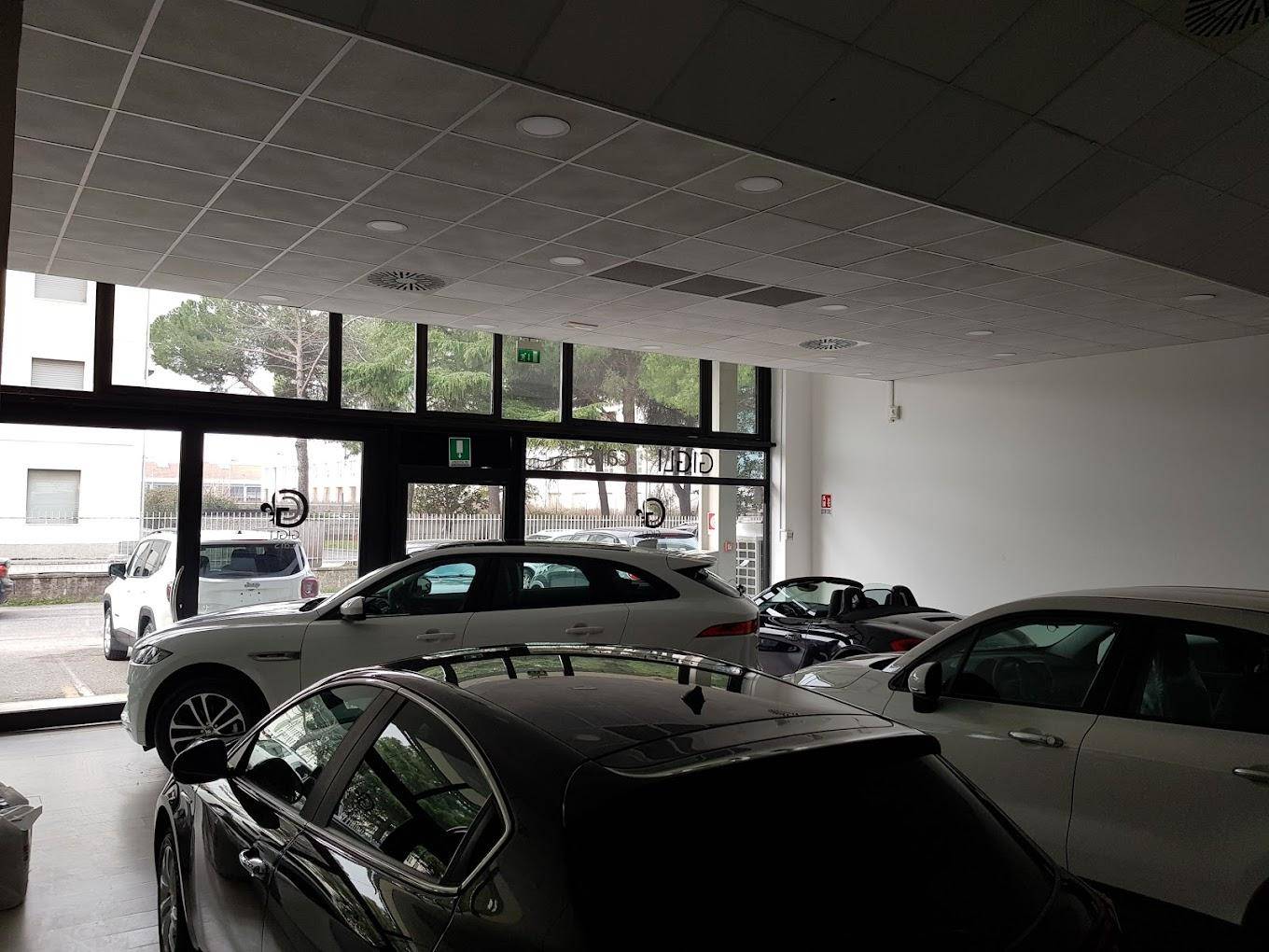 GIGLI CARS