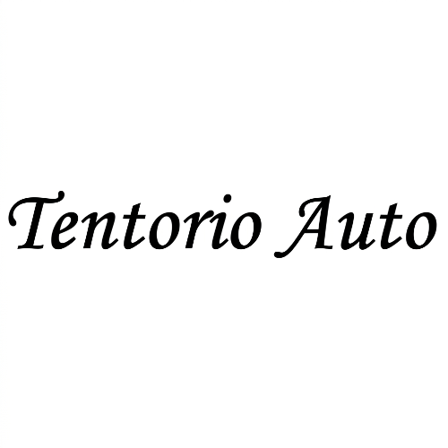 Logo di TENTORIO AUTO SRL