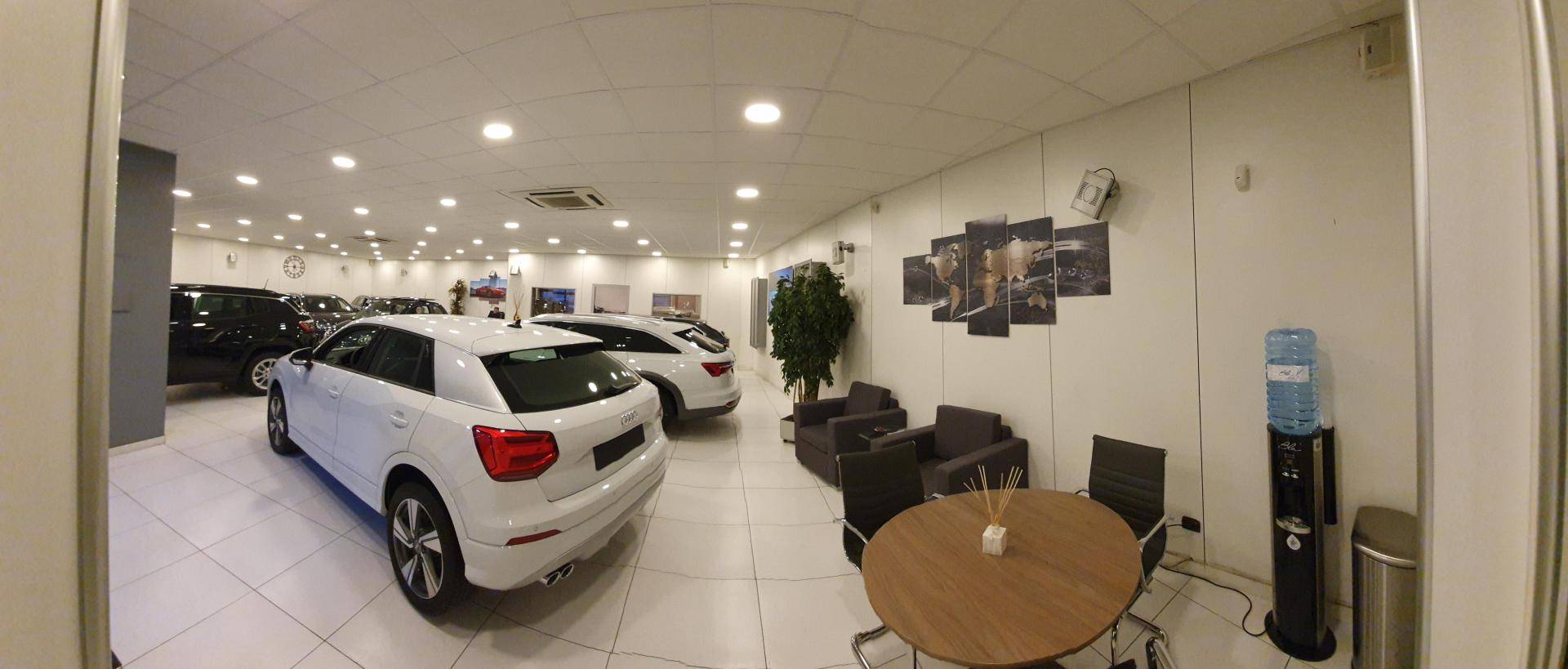 MF Motors & C. Srl