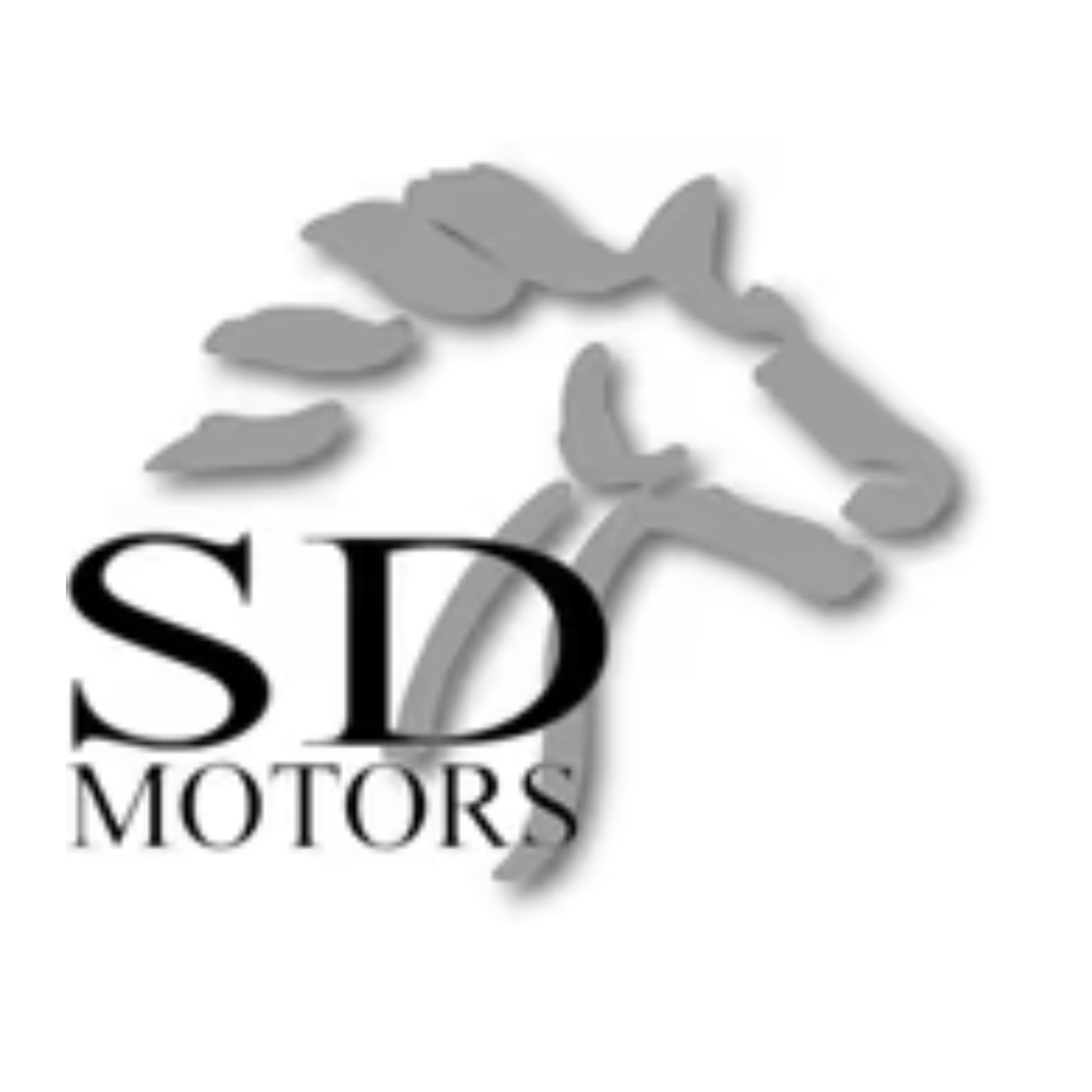 Logo di SD Motors