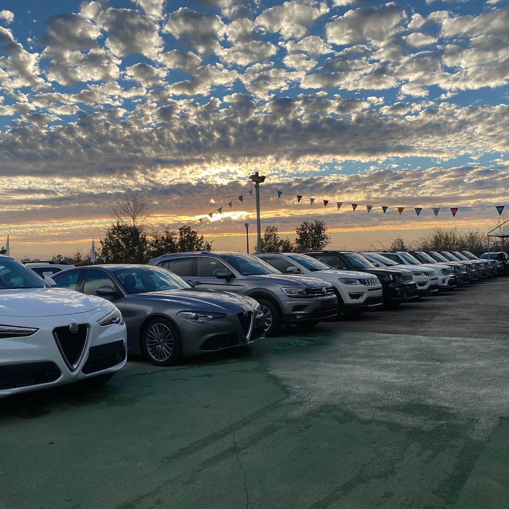 SPINOSAUTO GROUP SRL