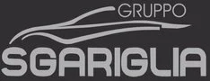 Logo di NEW AUTO SGARIGLIA SAS DI SGARIGLIA SALVATORE