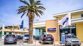 TALAMONTI AUTO SRL